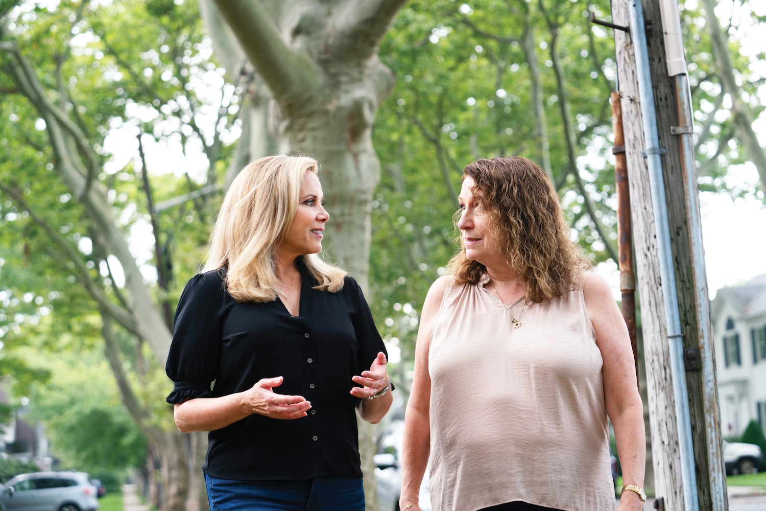 <h2>Leader in Local Government</h2>
<p>Laura ran for Hempstead Town Supervisor because she saw a need for a problem-solving approach in local government, where partisan fights and corruption were damaging the community and placing additional burdens on taxpayers.</p>
<p>&nbsp;</p>
<p>In 2017, Laura became the first Democrat to be elected Hempstead Town Supervisor in 112 years. As Supervisor, Laura managed a budget of nearly $500 million and led the operations of all town departments. She took aim at waste and corruption and made the Town government more accessible, transparent and accountable to taxpayers. Her cost saving measures enabled the Town to lower taxes for residents after years of tax hikes.</p>
<p>&nbsp;</p>
<p>As Supervisor, Laura led efforts to revitalize the town’s infrastructure, sued to recover damages for contaminants in the public water supply and passed critical legislation relating to sexual harassment and veterans’ benefits.</p>
